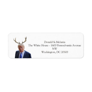 Trump Christmas: Deer Mr. President