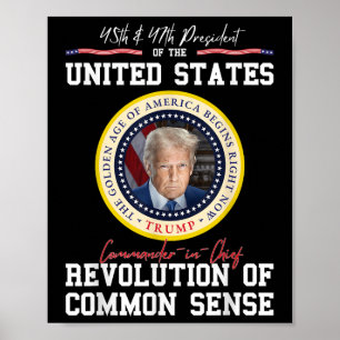 Trump Commander-in-chief Golden Age Of America Poster