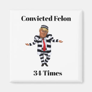 Trump Convicted Felon Magnet