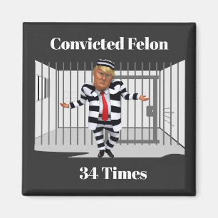 Trump Convicted Felon Magnet