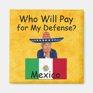 Trump Defence Magnet
