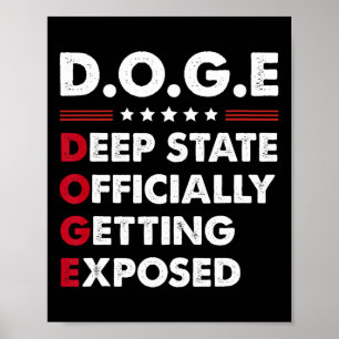 Trump Doge Deep State Officially Getting Exposed  Poster