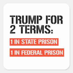 Trump for 2 terms: State Prison and Federal Prison Square Sticker