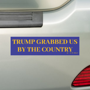 TRUMP, GRABBED US BY THE COUNTRY - BUMPER STICKER