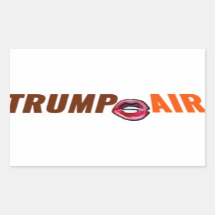 Trump Hot Air Cartoon Clear Rectangular Sticker