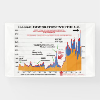 Trump Illegal Immigration Chart Banner