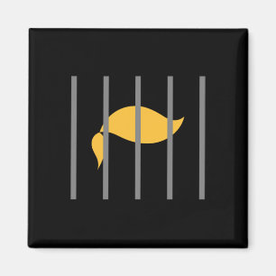 Trump Impeach Anti-trump Behind Bars Magnet