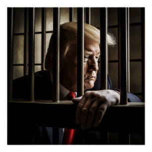 Trump in Jail. Poster