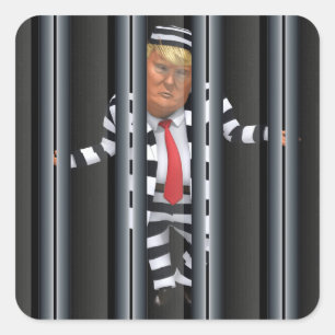 Trump in Prison Wear Sticker