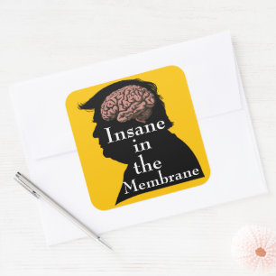 Trump/Insane Sticker