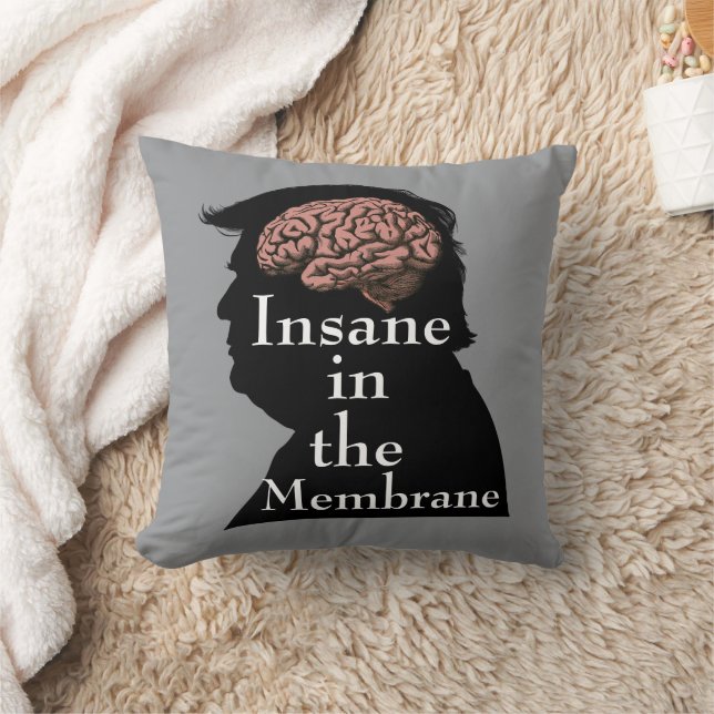 Trump/Insane Throw Pillow (Blanket)
