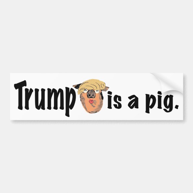 Trump is a pig bumper sticker (Front)