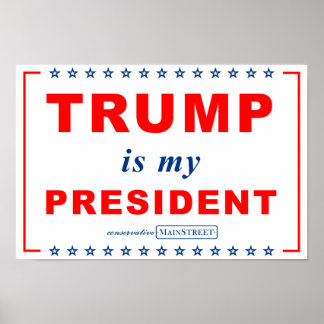 TRUMP is my PRESIDENT (RWB) Rally Sign