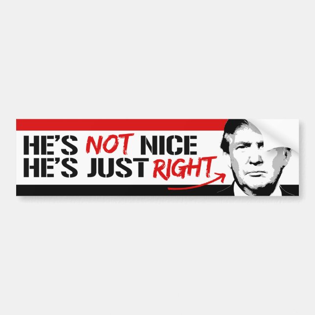 Trump isn't nice - he's just right -.png bumper sticker (Front)