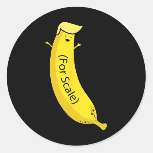 Trump Its Banana (for Scale) Funny 2 Classic Round Sticker