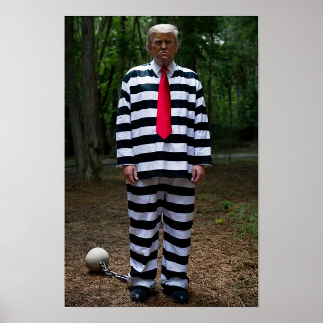 Trump Jail Poster (Front)