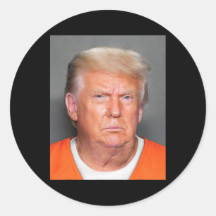 Trump Mug Shot 1  Classic Round Sticker