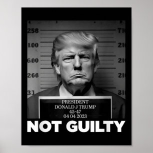 Trump Not Guilty Mug Shot Free Trump I Stand With Poster