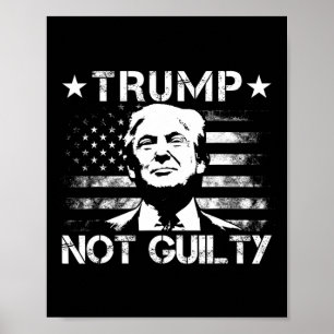 Trump Not Guilty Pro Trump Supporter American Flag Poster