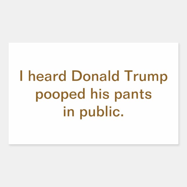 Trump Pooped His Pants Public Hankamer Artjunkhaus Rectangular Sticker (Front)