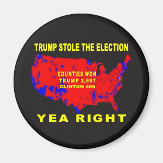 TRUMP STOLE THE ELECTION MAGNET