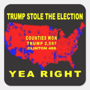TRUMP STOLE THE ELECTION SQUARE STICKER