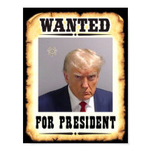 Trump Wanted For President Poster