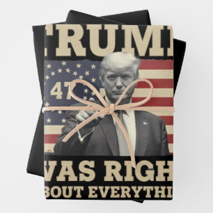 Trump Was Right About Everything USA America Wrapping Paper Sheet