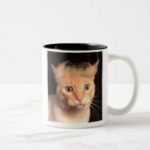 Trump Your Cat Mug