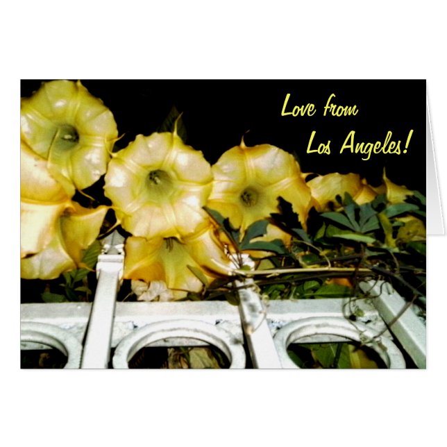 Trumpet at Night 1b (Front Horizontal)