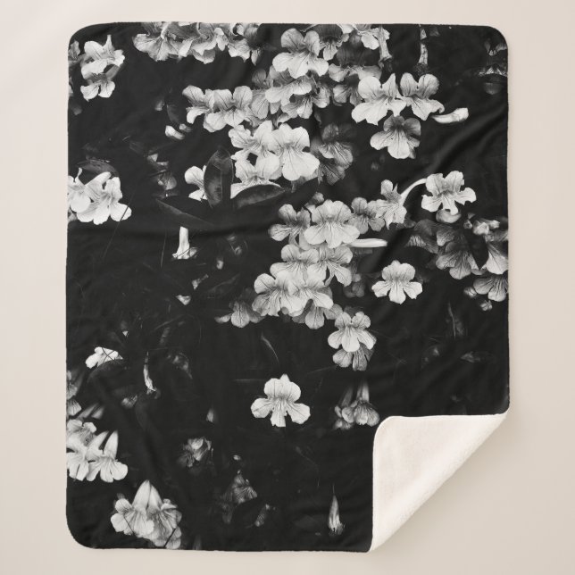 Trumpet Flowers (Black & White) Sherpa Blanket (Front)