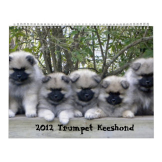 Trumpet Keeshond Calendar 2012