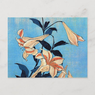 Trumpet Lilies Postcard