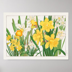 Trumpet narcissus by Tanigami Konan Poster