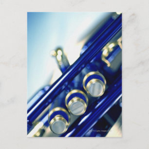 Trumpet Postcard