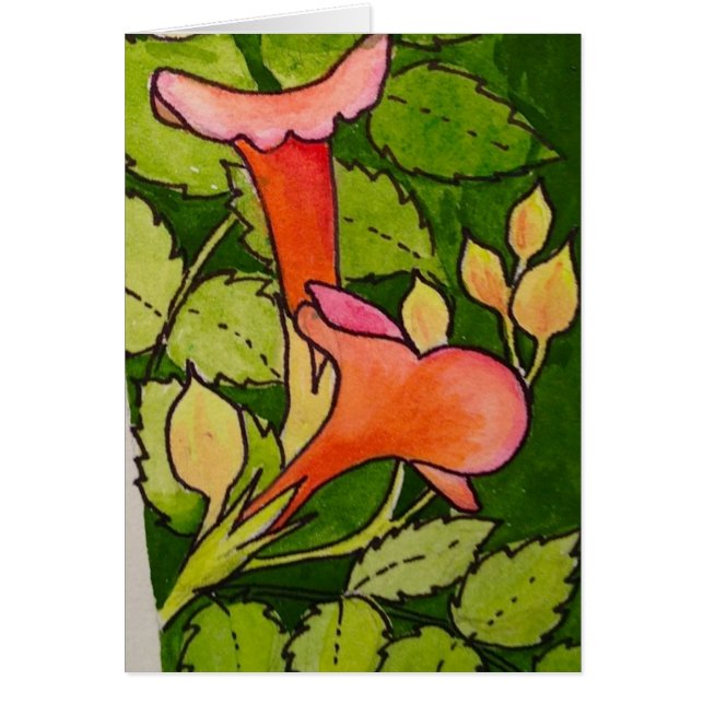 Trumpet Vine (Front)