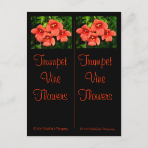 Trumpet Vine Bookmarks Postcard