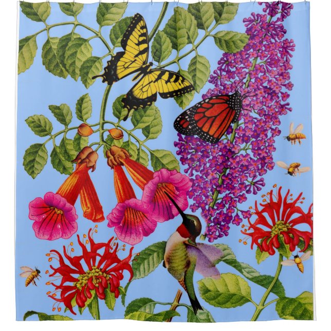 trumpet vine, butterfly bush, bee balm, cute bird shower curtain (Front)