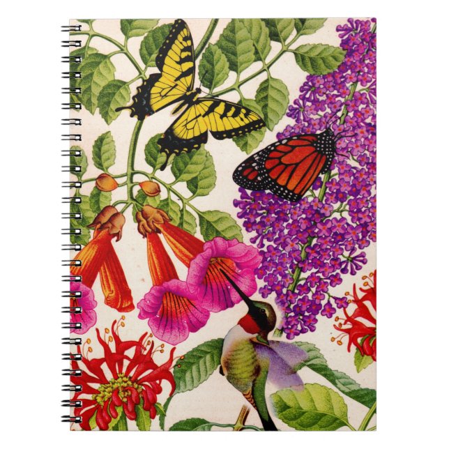 trumpet vine, butterfly bush, bee balm notebook (Front)