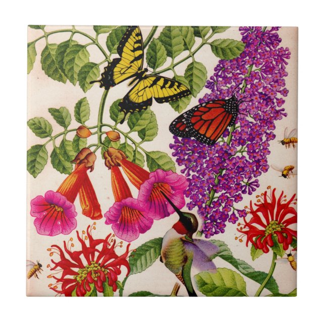trumpet vine, butterfly bush, bee balm tile (Front)