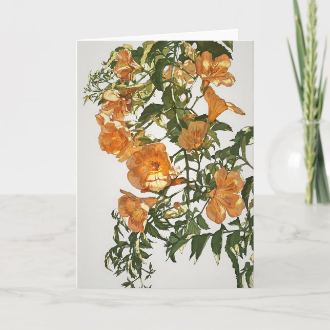 Trumpet Vine Watercolor Card (Front)