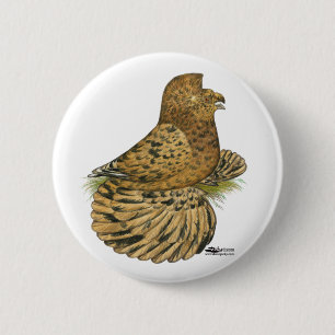 Trumpeter Pigeon Almond 6 Cm Round Badge