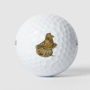 Trumpeter Pigeon Almond Golf Balls