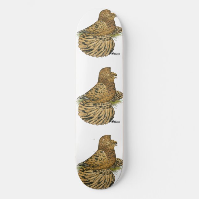 Trumpeter Pigeon Almond Skateboard (Front)