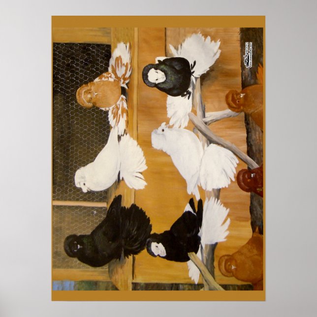 Trumpeter Pigeon Champions Poster (Front)