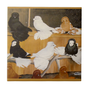Trumpeter Pigeon Champions Tile