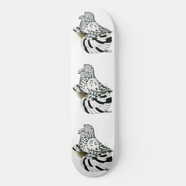 Trumpeter Pigeon Light Splash Skateboard (Front)