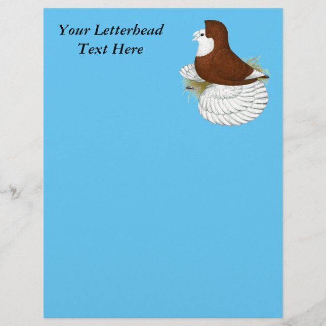 Trumpeter Pigeon Red Baldhead (Front)