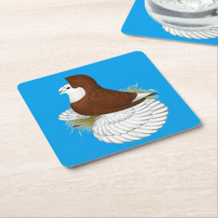 Trumpeter Pigeon Red Baldhead Square Paper Coaster