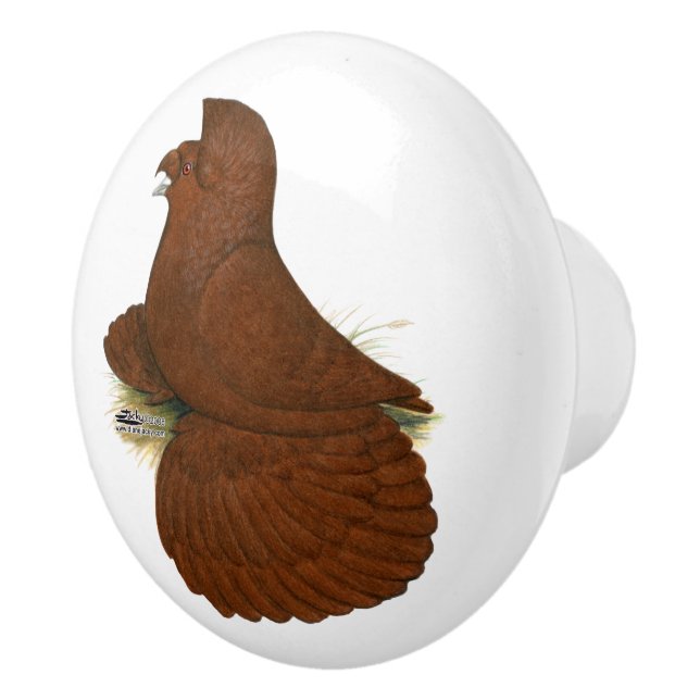 Trumpeter Pigeon Red Ceramic Knob (Right)